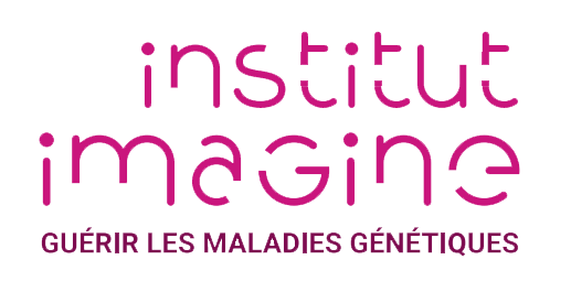 Institut Imagine - Innov4-epik Partner