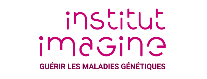 Logo Institut Imagine - Innov4-epik Partner